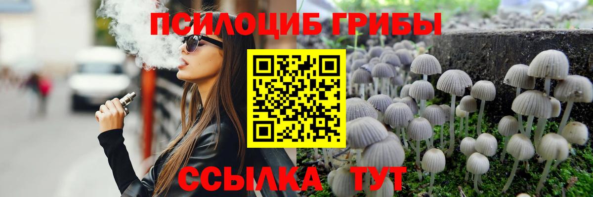 Златоуст  Галлюциногенные грибы мицелий  Вход с VPN 