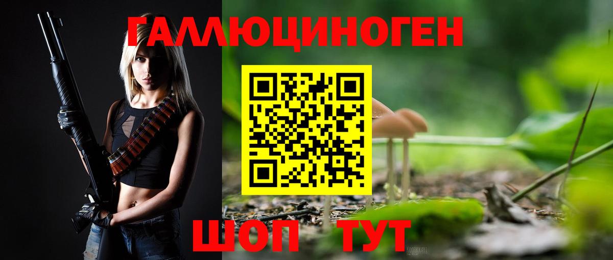Галлюциногенные грибы Psilocybine cubensis Златоуст